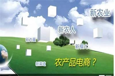 加快農業信息化建設，拓展農產品營銷新渠道